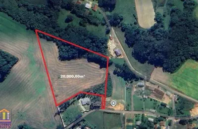 20.000,00m² no roça velha em araucária a 9 km do centro e 500 metros do asfalto limpa 990.000,00