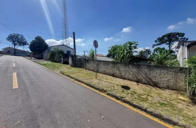 Ótimo terreno medindo 391,20m² no centro de araucária ideal para construção de apartamentos, próximo a havan, apenas r$ 450.000,00