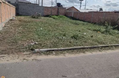 Terreno no capela velha - jardim dos pássaros lote urbano com 140 m² medindo 7x20 plano  rua asfaltada preço à vista - r$ 140.000,00