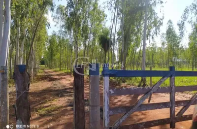 Chácara / sítio com 6 quartos à venda na Chacara, Centro, Terenos