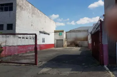 Terreno 300 m² localizado no bairro vila dom pedro i são paulo - sp