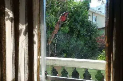 Apartamento de 85m², no bairro santa terezinha em são bernardo do campo - sp