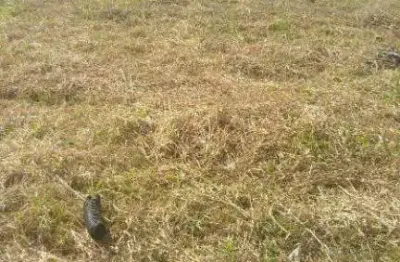 Terreno comercial para alugar na Estrada João Ducim, 340, Jardim Jamaica, Santo André