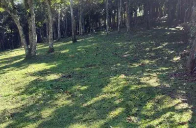 Terreno à venda dos finco - são bernardo do campo - sp