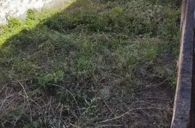 Terreno à venda na Rua Doutor Miranda de Azevedo, 944, Vila Anglo Brasileira, São Paulo