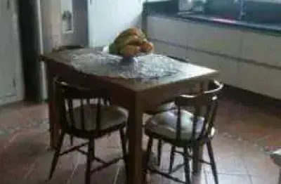 Casa com 3 quartos à venda na Rua Vieira de Almeida, 49, Ipiranga, São Paulo