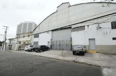 Galpão para aluguel 10 vagas vila gumercindo - são paulo - sp