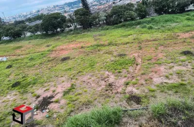 Terreno comercial para alugar na Rua Georg Rexroth, 773, Piraporinha, Diadema