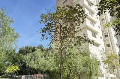 Apartamento em chacara santo antonio (zona sul) 241m2