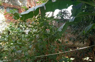 Terreno à venda na Rua Maria de Fátima, 506, Baeta Neves, São Bernardo do Campo