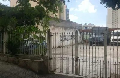 Terreno para aluguel, centro - são bernardo do campo/sp