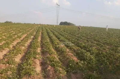 Terreno à venda na Estrada Estância Árvore da Vida, 100, Chácara Cruzeiro do Sul, Sumaré