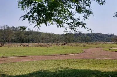 Área comercial / industrial a venda em suzano, localizada há 500mts da rodovia indio tibiriçá