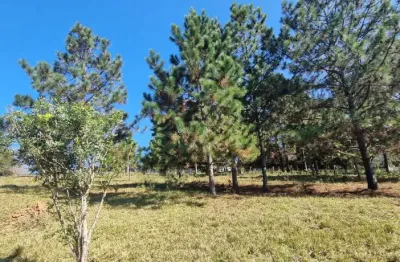 Terreno a venda em suzano, ideal para investimento ou montar chácara.