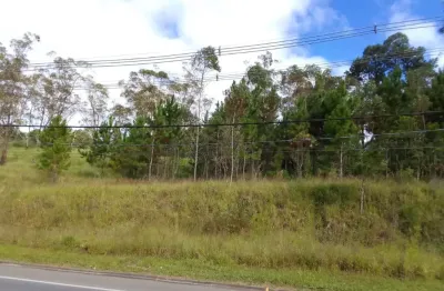 Terreno comercial à venda na Estrada Keida Harada, Ipelândia, Suzano