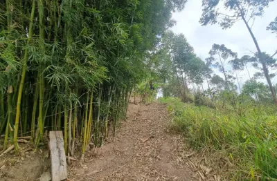 Chácara / sítio com 2 quartos à venda na Rua Quatorze, Estância Angelina, Suzano