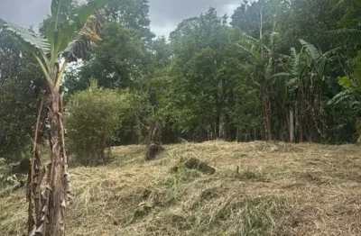 Área industrial em Ouro Fino Paulista, ótima localização e topografia