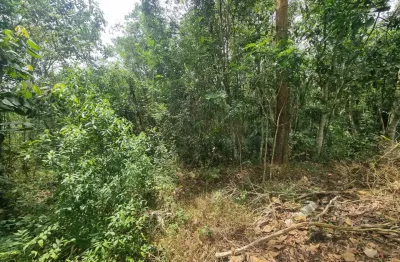 Terreno a venda em ouro fino paulista, fica há 2 minutos do centro