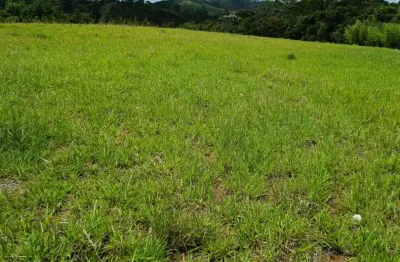 Área comercial a venda, com excelente localização e topografia, acesso asfaltado