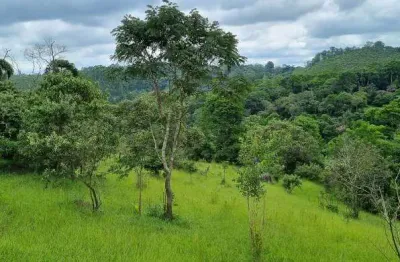 Chácara / sítio com 2 quartos à venda na Estrada Keida Harada, Ipelândia, Suzano