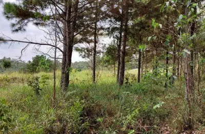 Área a venda em suzano, ideal para loteamento,  apartamentos, está  há 20 minutos do centro.