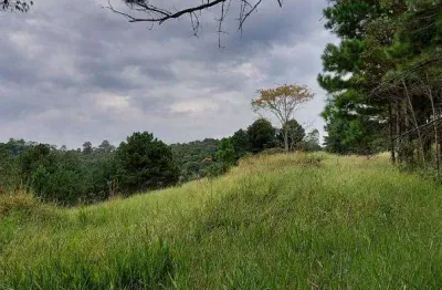Área a venda em suzano, ideal para loteamento, fica há 20 minutos do centro.