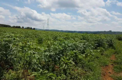 Area a venda em suzano, ideal para lavoura ou investimento, confira