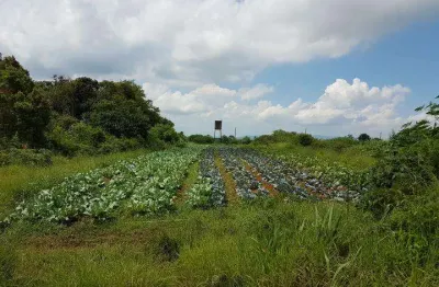 Area a venda em suzano, ideal para lavoura ou investimento, confira