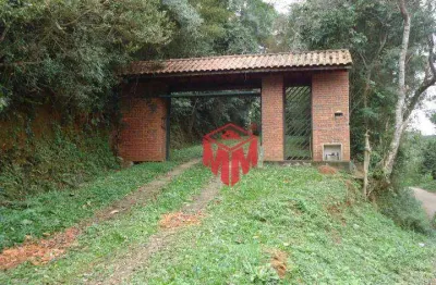 Sítio com 3 dormitórios à venda, 18038 m² por r$ 1.300.000,00 - tanque caio - ribeirão pires/sp