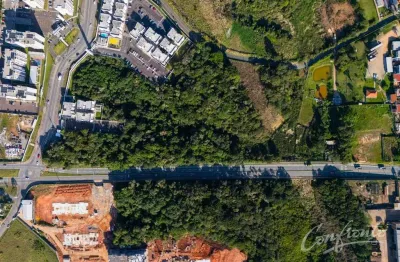 Terreno à venda na avenida rui barbosa, 12401, aristocrata, são josé dos pinhais por r$ 7.000.000