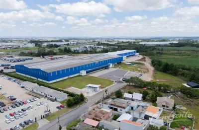 Barracão / Galpão / Depósito para alugar na Rua Joaquim Alves Fontes, 2098, Jurema, São José dos Pinhais por R$ 210.000