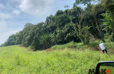 Área à venda, 194154 m² por r$ 11.649.238,20 - parque santa rosa - suzano/sp