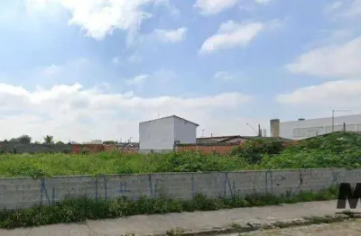 Terreno à venda, 1500 m² por r$ 1.050.000,00 - jundiapeba - mogi das cruzes/sp