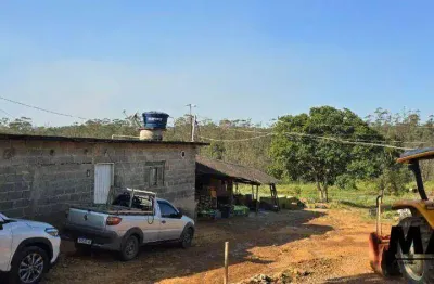Área à venda, 70000 m² por r$ 6.300.000 - fazenda aya - suzano/sp