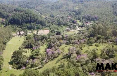 Sítio com 4 dormitórios à venda, 114900 m² - jardim novo ouro fino (ouro fino paulista) - ribeirão pires/sp