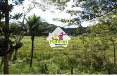 Fazenda à venda no Centro, Juquiá 