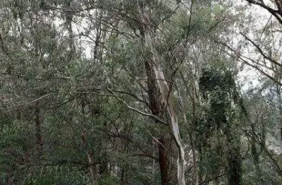 Apartamento à venda, 83 m² por r$ 559.999,95 - morumbi - são paulo/sp