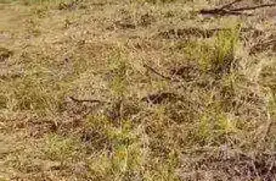 Terreno à venda, 1000 m² por r$ 600.000 -  colônia - jundiaí/sp