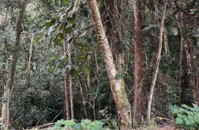 Terreno à venda, 1904 m² por R$ 260.000,00 - Capital Ville - Jundiaí/SP