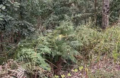 Terreno à venda, 708 m² por r$ 250.000,00 - capital ville - jundiaí/sp