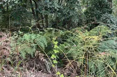 Terreno à venda, 778 m² por r$ 250.000,00 - capital ville - jundiaí/sp