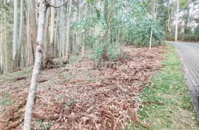 O terreno ideal para construir sua casa em local seguro e em meio a natureza