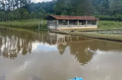 Chácara / sítio com 3 quartos à venda na Estrada Sebastião Dos Santos Camargo, 120, Estancia São Paulo, Jarinu