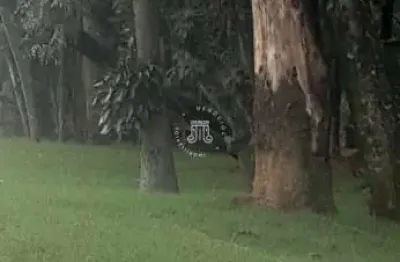 Terreno á venda no Condomínio Vista Verde, bairro Caxambu - Jundiaí/SP