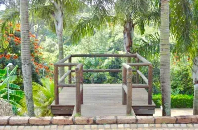 Chácara / sítio com 5 quartos à venda na Rua Garbosa Bruller, 0, 750, Monterrey, Louveira