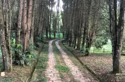 Chácara / sítio com 5 quartos à venda na Avenida Luiz Gobbo, 3400, Santa Clara, Jundiaí