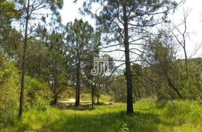 Chacara de 11.440 metros com 3 casas e um pesquiros em franco da rocha sp