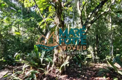 Terreno à venda no Prumirim, Ubatuba 