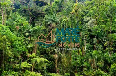 Terreno comercial à venda em Toninhas, Ubatuba 