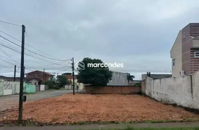 Terreno comercial para alugar na rua césar carelli, 650, iguaçu, fazenda rio grande por r$ 3.215